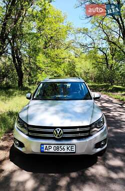 Внедорожник / Кроссовер Volkswagen Tiguan 2015 в Запорожье