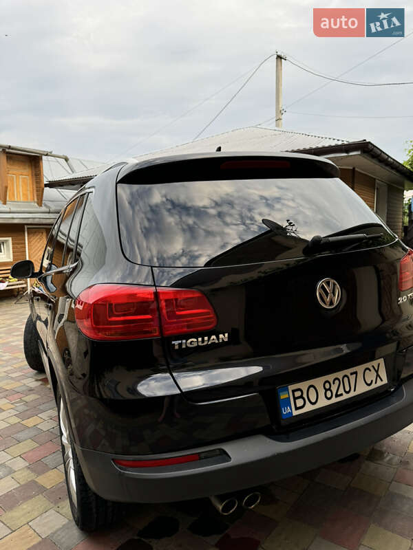 Внедорожник / Кроссовер Volkswagen Tiguan 2013 в Бережанах