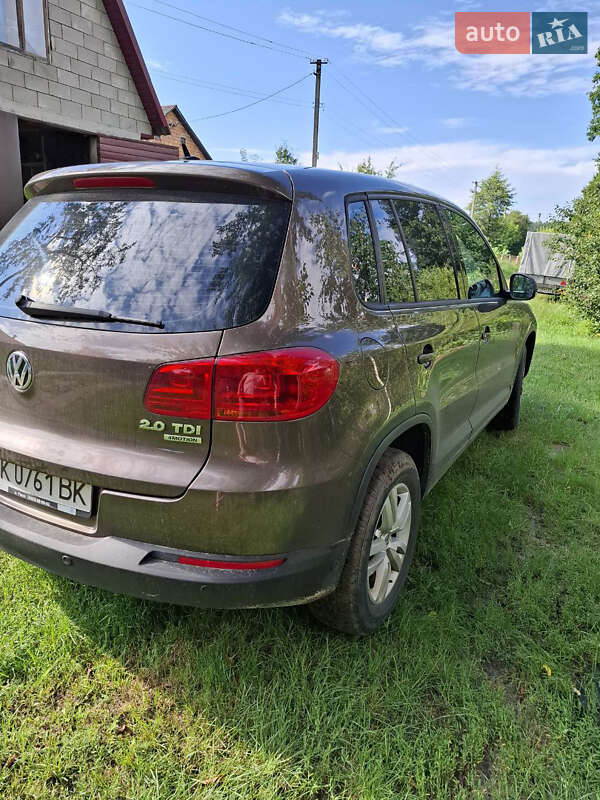 Внедорожник / Кроссовер Volkswagen Tiguan 2013 в Сарнах