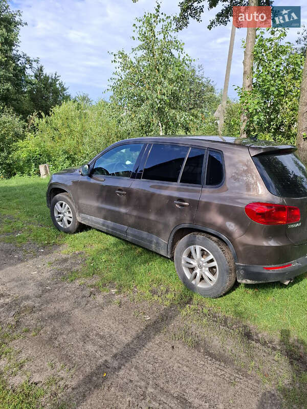 Внедорожник / Кроссовер Volkswagen Tiguan 2013 в Сарнах