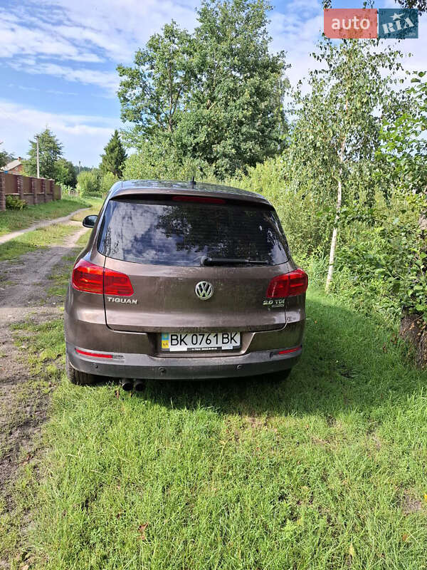 Внедорожник / Кроссовер Volkswagen Tiguan 2013 в Сарнах