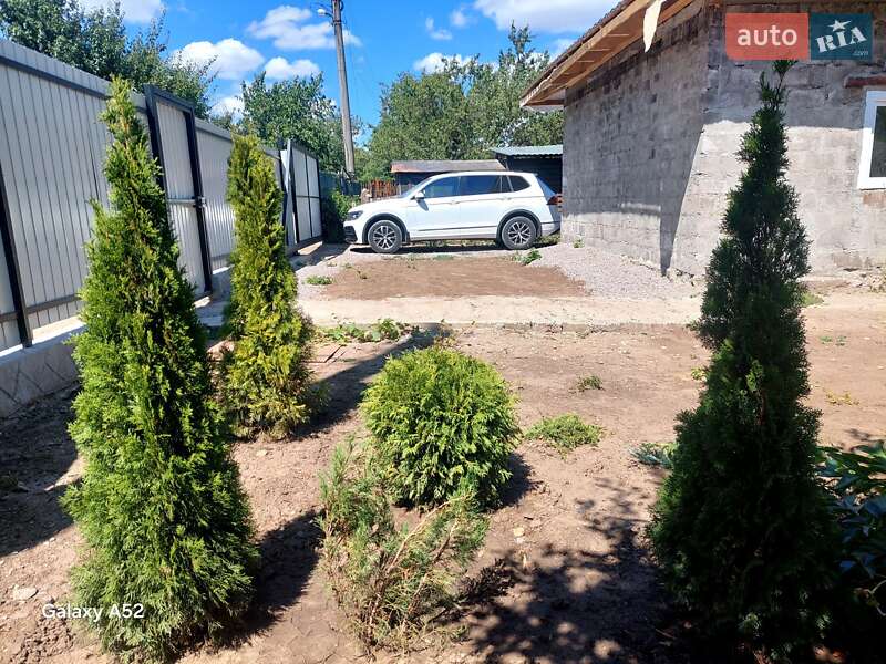 Внедорожник / Кроссовер Volkswagen Tiguan 2020 в Запорожье фото 8 Внедорожник / Кроссовер Volkswagen Tiguan 2020 в Запорожье