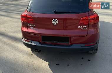 Внедорожник / Кроссовер Volkswagen Tiguan 2015 в Ровно