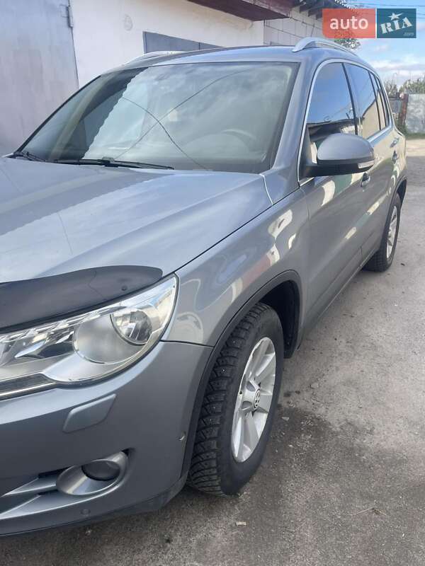 Внедорожник / Кроссовер Volkswagen Tiguan 2008 в Звягеле фото 5 Внедорожник / Кроссовер Volkswagen Tiguan 2008 в Звягеле