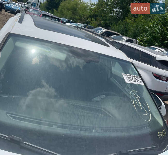 Позашляховик / Кросовер Volkswagen Tiguan 2021 в Львові