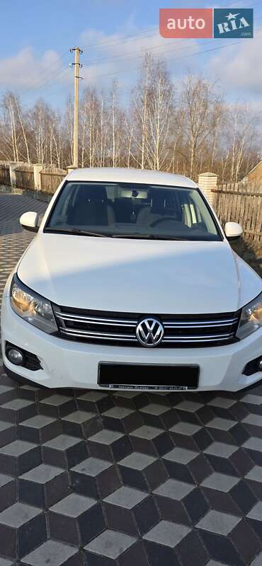 Volkswagen Tiguan 2013 Volkswagen Tiguan 2013