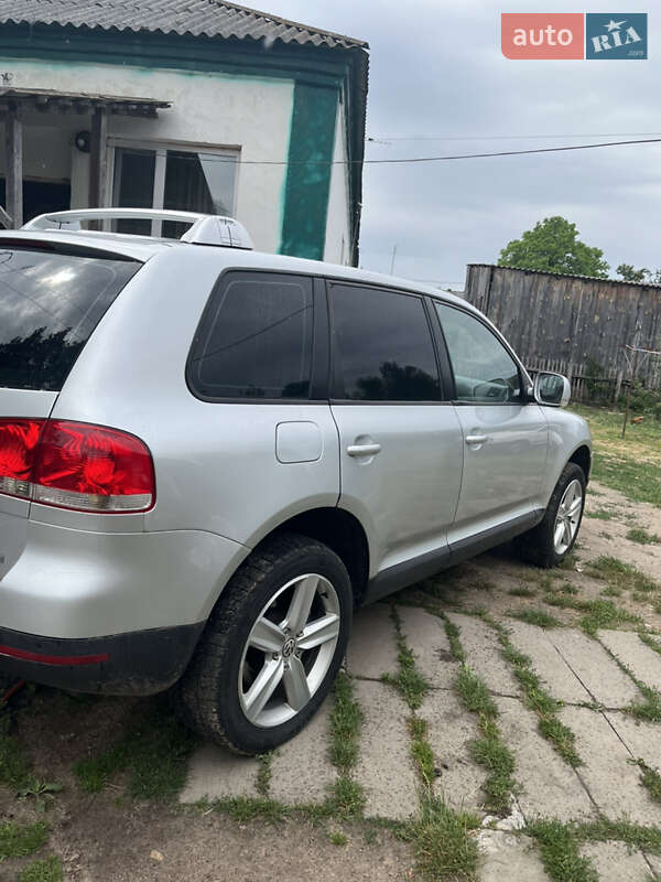 Внедорожник / Кроссовер Volkswagen Touareg 2004 в Коростене фото 9 Внедорожник / Кроссовер Volkswagen Touareg 2004 в Коростене