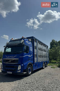 Для перевозки животных Volvo FH 16 2011 в 