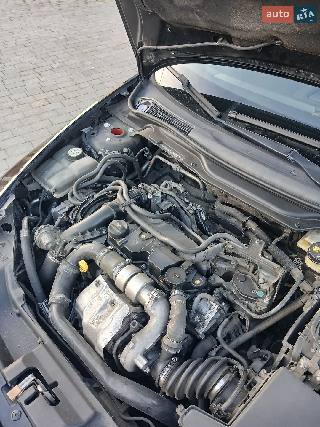 2011 Volvo V50 - мініатюра 23
