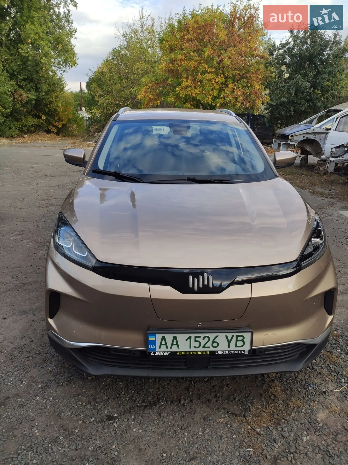 2019 Weltmeister EX5 - фото 1