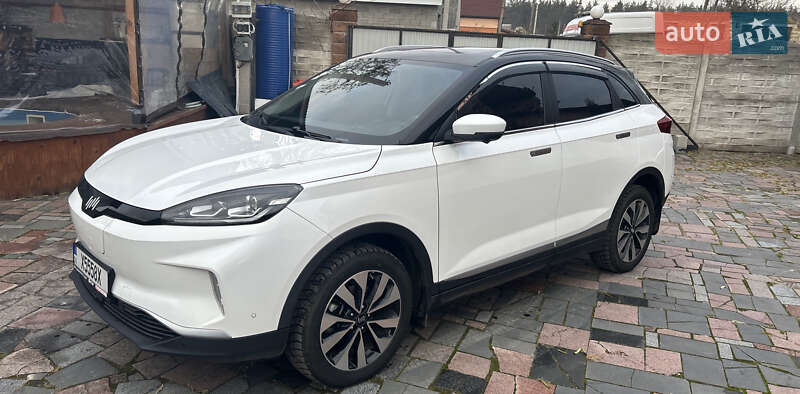 Weltmeister EX5 2019