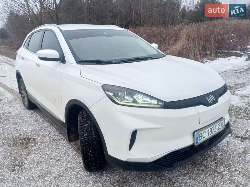 Weltmeister EX5 2019