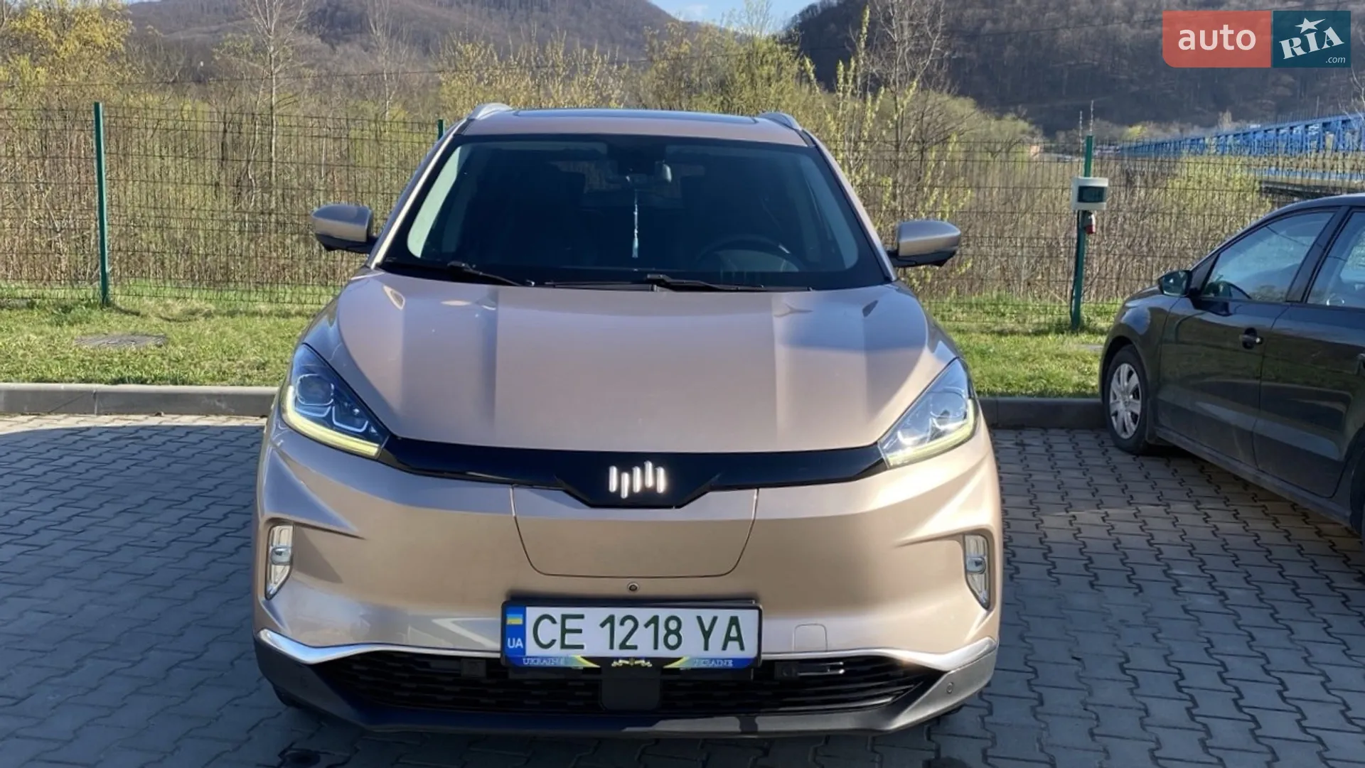 2019 Weltmeister EX5 - мініатюра 2