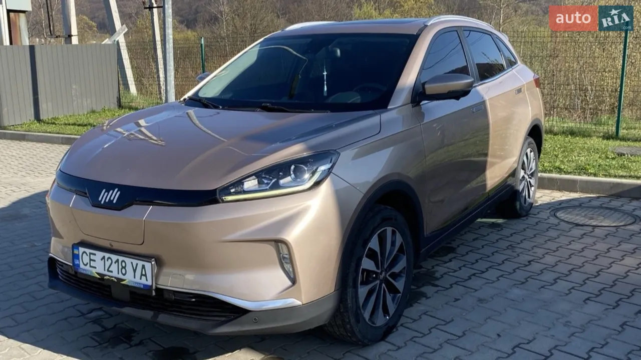 2019 Weltmeister EX5 - мініатюра 21