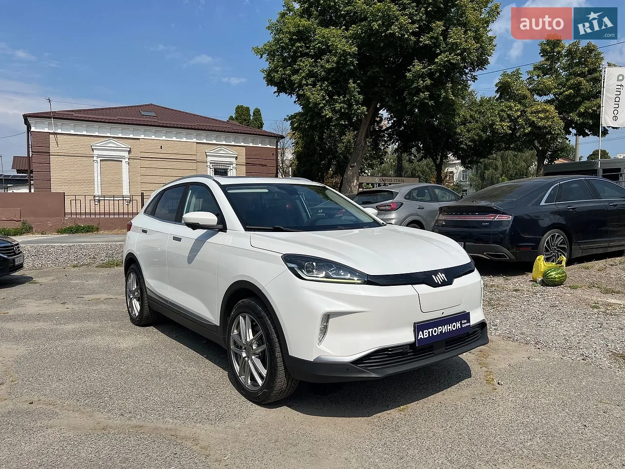 2019 Weltmeister EX5 - мініатюра 20