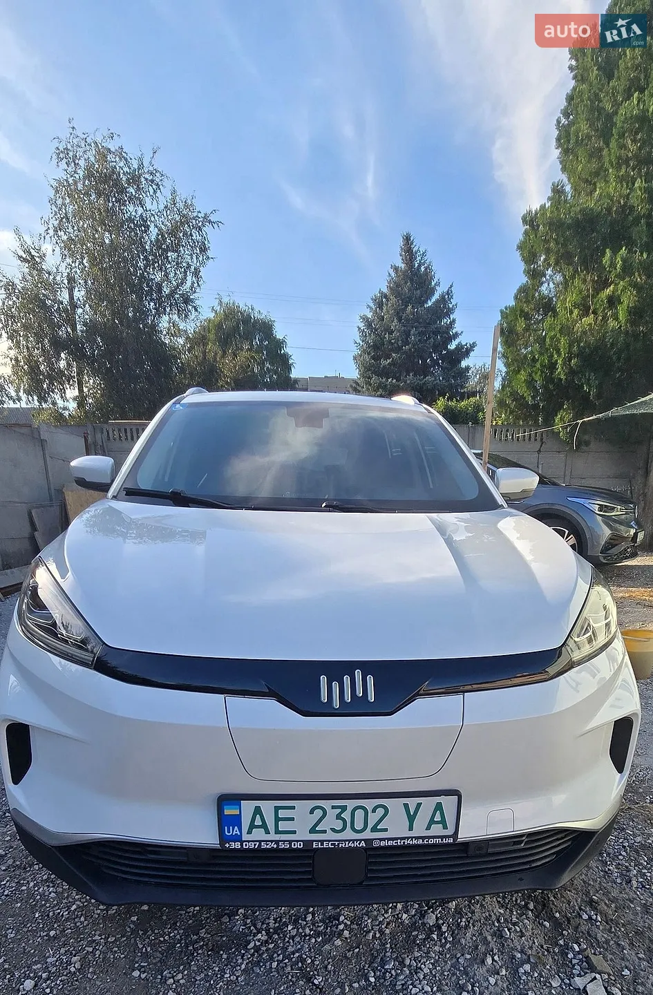 2019 Weltmeister EX5 - фото 1