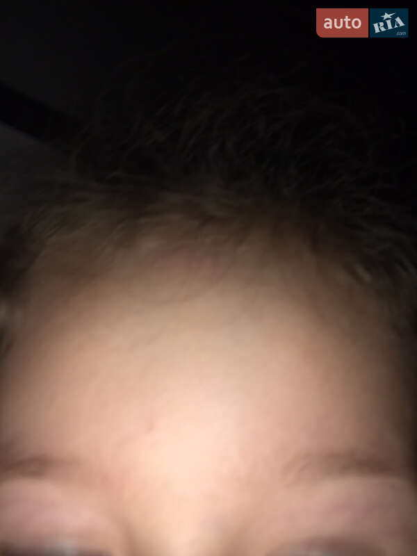 Пікап ЗАЗ 11055 2004 в Харкові