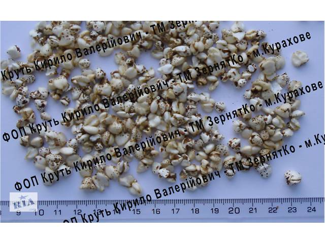 бу Гречиха воздушная взорванная Puffed buckwheat в Курахово бу Гречиха воздушная взорванная Puffed buckwheat в Курахово