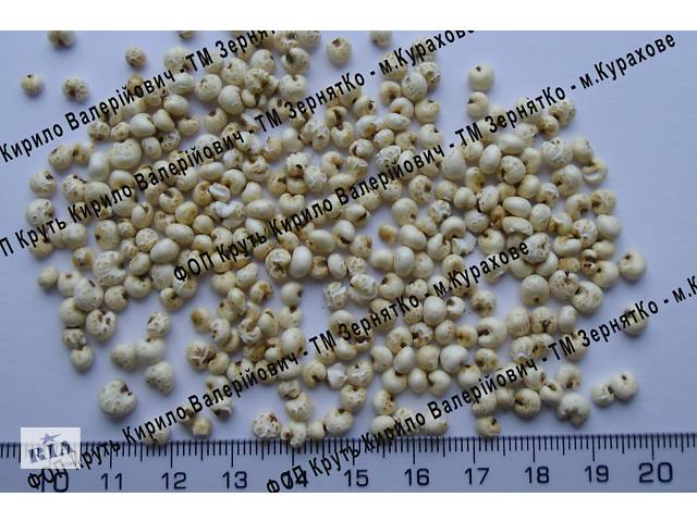 продам Воздушное пшено взорванное Puffed millet бу в Курахово продам Воздушное пшено взорванное Puffed millet бу в Курахово