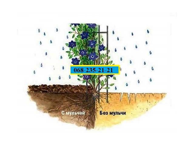 Схема мульчирования корой