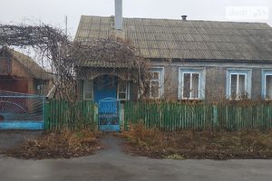 Продається одноповерховий будинок 89 кв. м з каміном