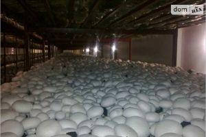Продается готовый бизнес в сфере производство продуктов питания площадью 2049 кв. м