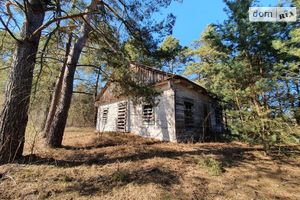 Продается земельный участок 20 соток в Ровенской области