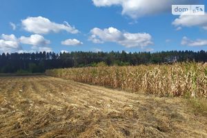 Продается земельный участок 15 соток в Черкасской области