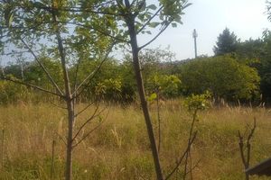 Продається земельна ділянка 25 соток у Закарпатській області