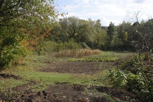 Продається земельна ділянка 25 соток у Хмельницькій області