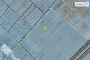Продається земельна ділянка 50 соток у Київській області