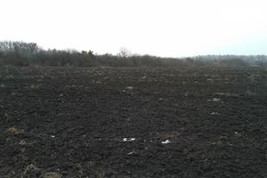 Продається земельна ділянка 22 соток у Київській області