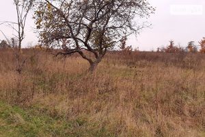 Продається земельна ділянка 71 соток у Київській області