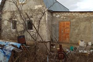 Продається одноповерховий будинок 65 кв. м з садом