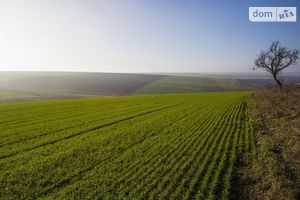 Здається в оренду земельна ділянка 2 соток у Одеській області