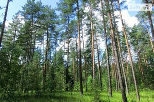 Продается земельный участок 20 соток в Киевской области