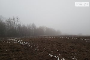 Продается земельный участок 25 соток в Черновицкой области