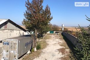 Здається в оренду готовий бізнес у сфері сільське господарство площею 400 кв. м