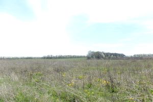 Продається земельна ділянка 10 соток у Вінницькій області