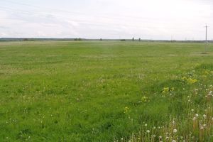 Продается земельный участок 18 соток в Винницкой области