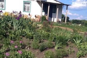 Продается земельный участок 75 соток в Киевской области
