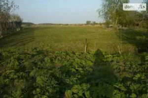 Продается земельный участок 25 соток в Житомирской области